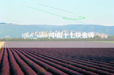 阿里中国十七块金牌