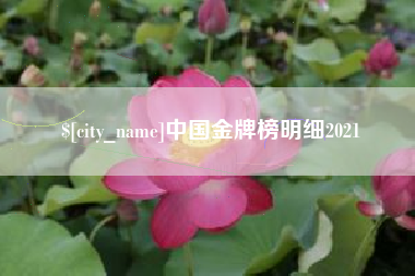 阿里中国金牌榜明细2021