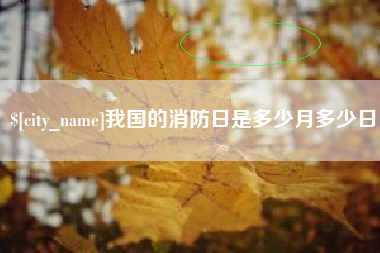 阿里我国的消防日是多少月多少日