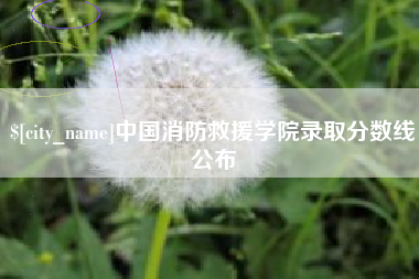 阿里中国消防救援学院录取分数线公布