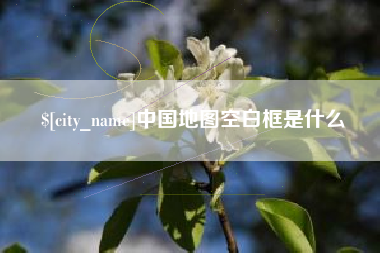 阿里中国地图空白框是什么