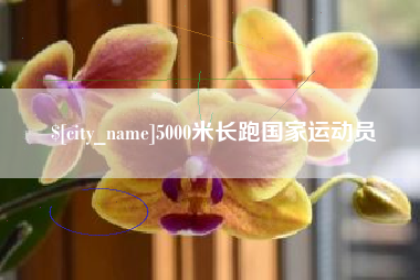 阿里5000米长跑国家运动员