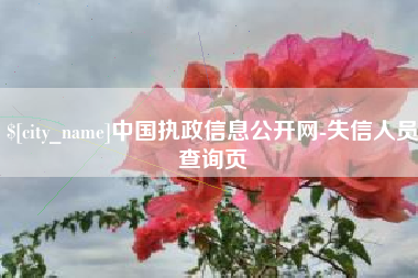 阿里中国执政信息公开网-失信人员查询页