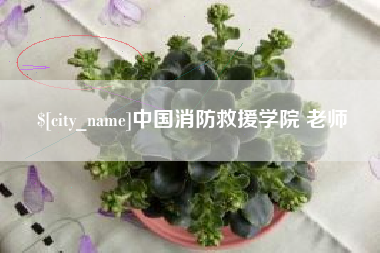 阿里中国消防救援学院 老师