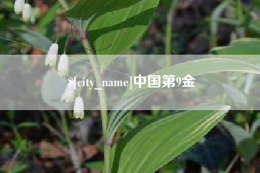 阿里中国第9金