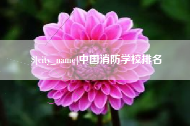 阿里中国消防学校排名