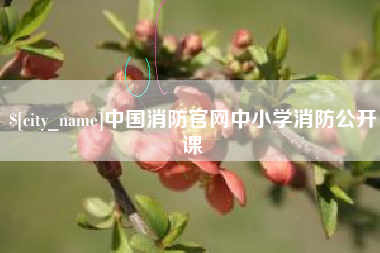 阿里中国消防官网中小学消防公开课