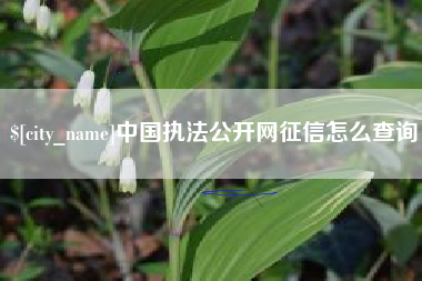 阿里中国执法公开网征信怎么查询