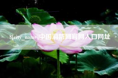 阿里中国消防网官网入口网址