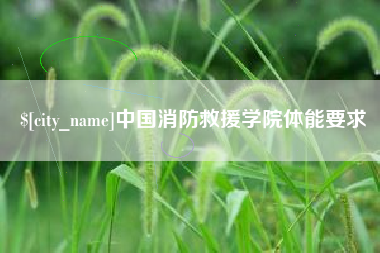 阿里中国消防救援学院体能要求