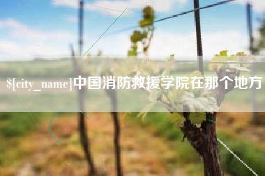 阿里中国消防救援学院在那个地方