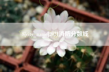 阿里2021消防分数线