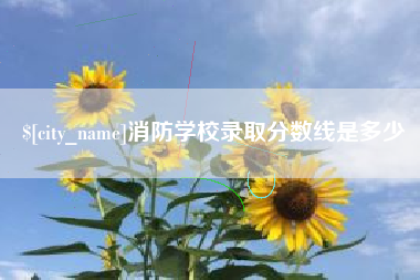 阿里消防学校录取分数线是多少