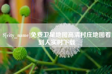 阿里免费卫星地图高清村庄地图看到人实时下载