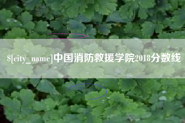 阿里中国消防救援学院2018分数线