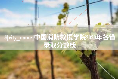 阿里中国消防救援学院2020年各省录取分数线