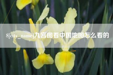 阿里九宫图看中国地图怎么看的