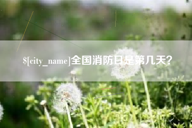阿里全国消防日是第几天？