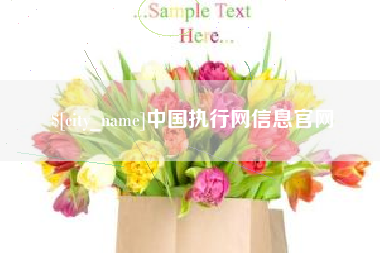 阿里中国执行网信息官网