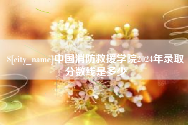 阿里中国消防救援学院2024年录取分数线是多少