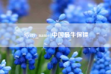 阿里中国最牛保镖