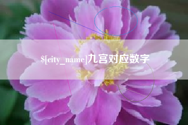 阿里九宫对应数字