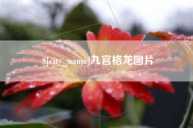 阿里九宫格龙图片