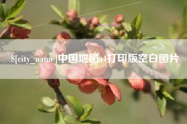 阿里中国地图a4打印版空白图片