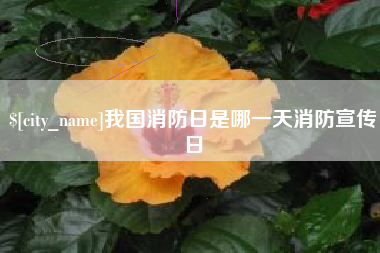 阿里我国消防日是哪一天消防宣传日