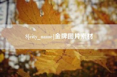 阿里金牌图片素材