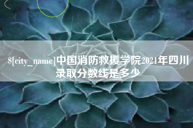 阿里中国消防救援学院2021年四川录取分数线是多少