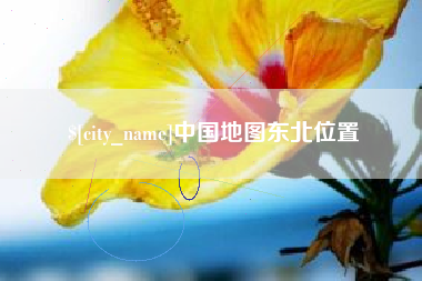 阿里中国地图东北位置
