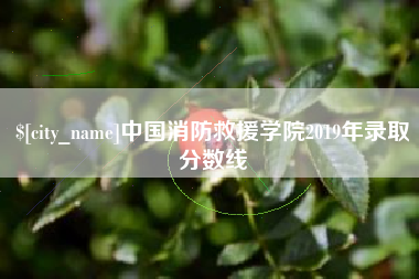 阿里中国消防救援学院2019年录取分数线