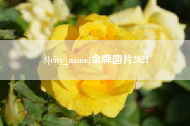 阿里金牌图片2021