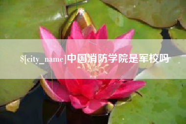 阿里中国消防学院是军校吗
