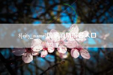 阿里国家消防报名入口