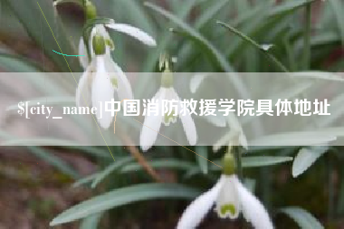 阿里中国消防救援学院具体地址