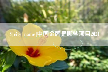 阿里中国金牌是哪些项目2021