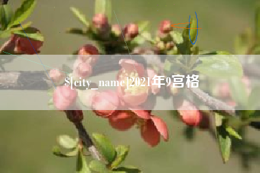 阿里2021年9宫格