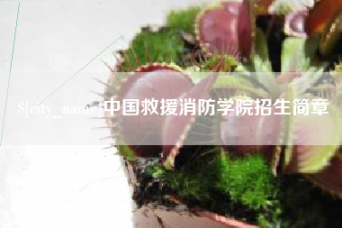 阿里中国救援消防学院招生简章
