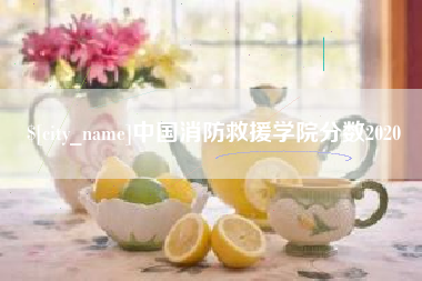 阿里中国消防救援学院分数2020