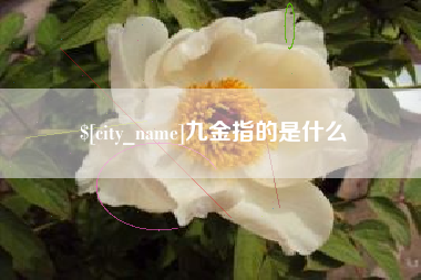 阿里九金指的是什么