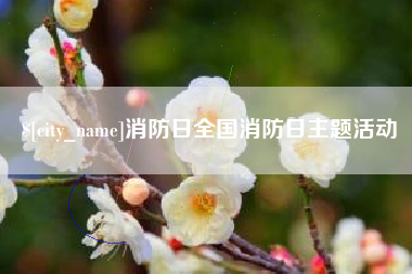 阿里消防日全国消防日主题活动