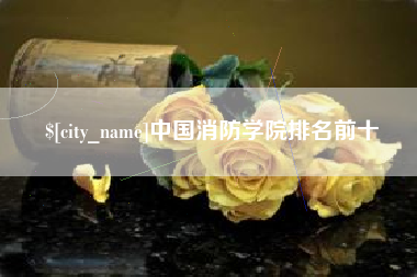 阿里中国消防学院排名前十