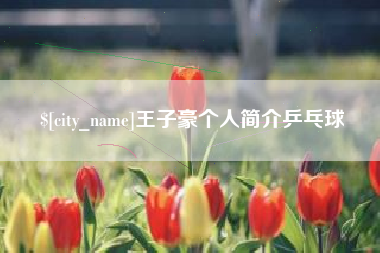 阿里王子豪个人简介乒乓球