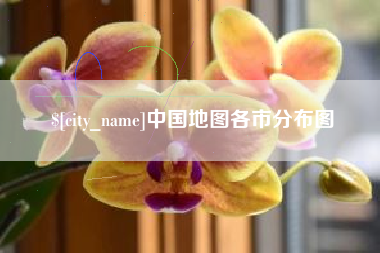 阿里中国地图各市分布图