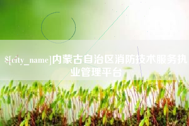 阿里内蒙古自治区消防技术服务执业管理平台