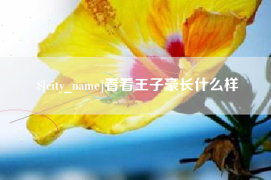 阿里看看王子豪长什么样