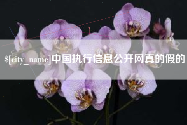 阿里中国执行信息公开网真的假的