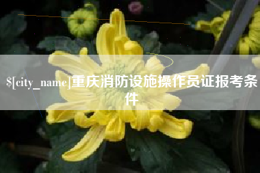 阿里重庆消防设施操作员证报考条件